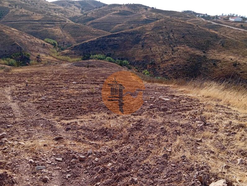 Terreno Rústico com 4460m2 Tavira - água