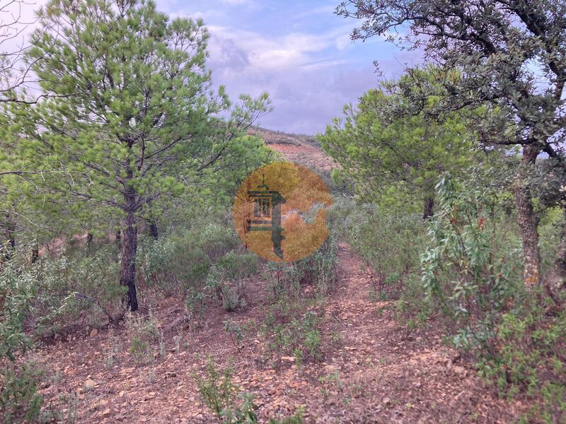 Land with 32440sqm Corte Pequena Odeleite Castro Marim