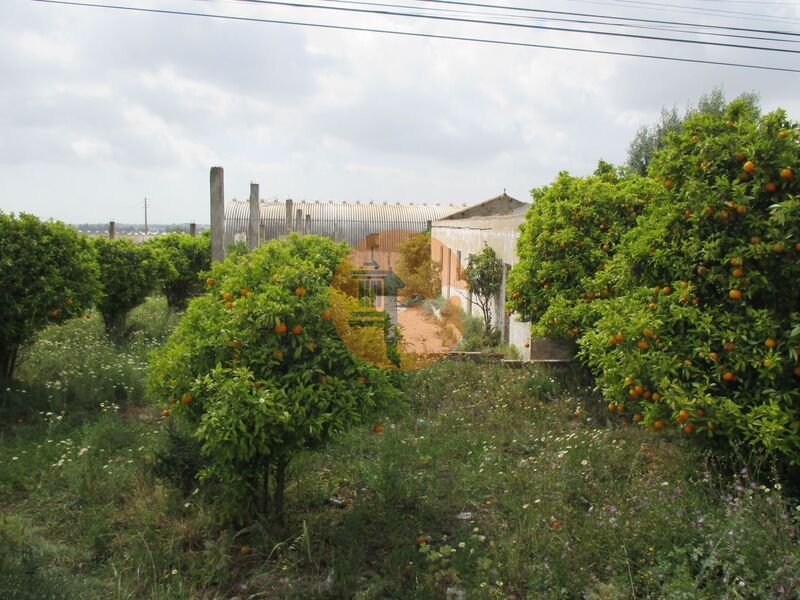 Land with 12000sqm Santa Bárbara de Nexe Faro