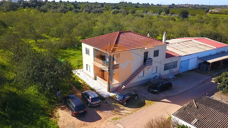 Farm 6 bedrooms Tavira - olive trees, peach trees, water, automatic irrigation system, barbecue, water hole, irrigated land