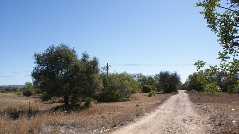 Land with 156800sqm Várzea Silves