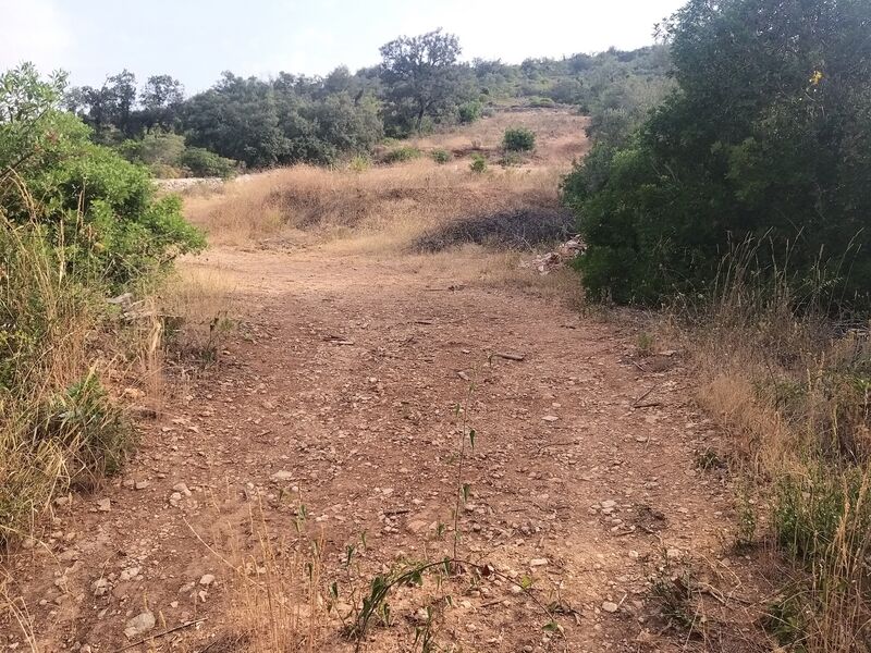Land with 2440sqm Tinoca Paderne Albufeira