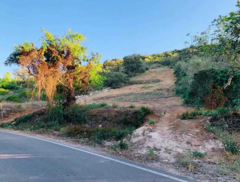 Land with 2440sqm Tinoca Paderne Albufeira