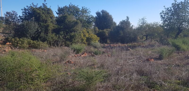 Land with 3225sqm Olhos de Água Albufeira - great location, electricity, water