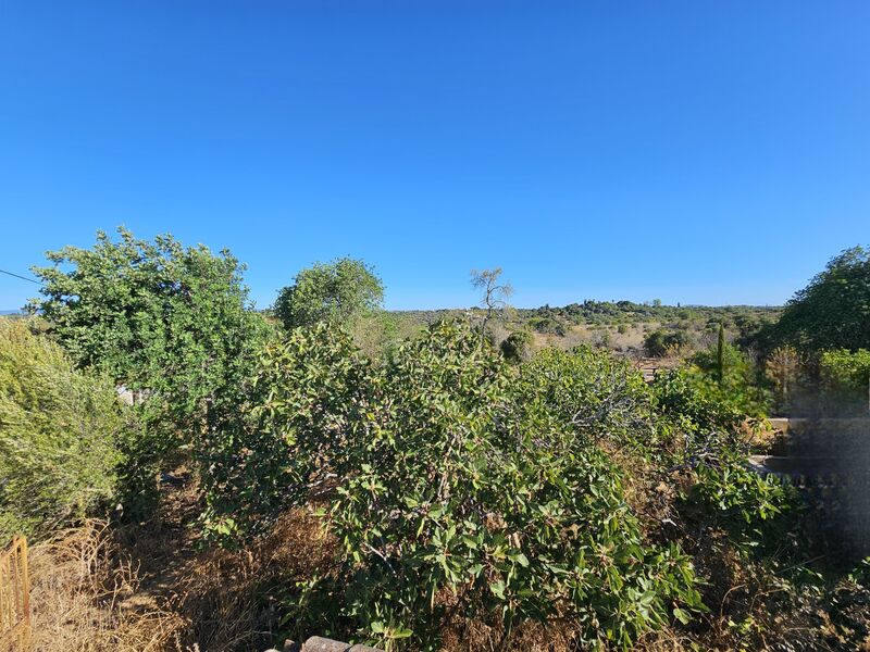 Terreno Rústico com 4869m2 Torre São Bartolomeu de Messines Silves - oliveiras, água, vista mar, electricidade