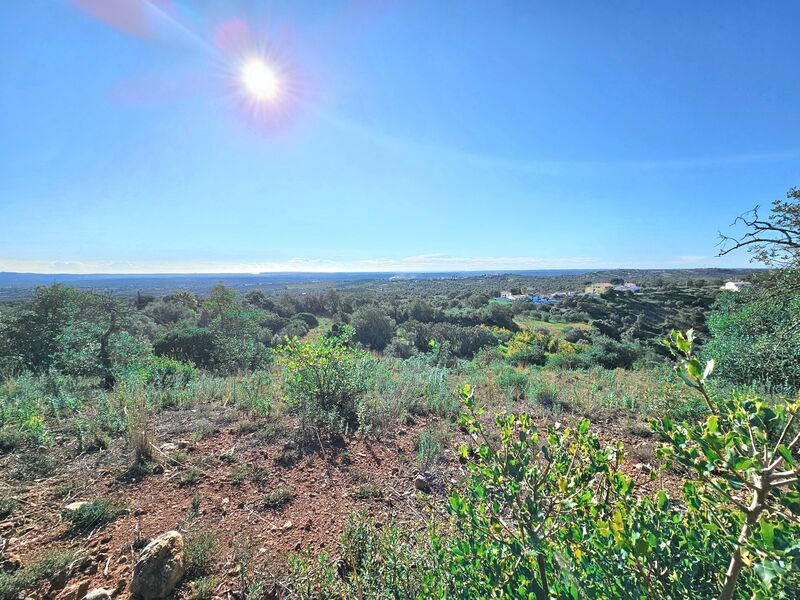 Terreno Rústico com 4869m2 Torre São Bartolomeu de Messines Silves - vista mar, água, bons acessos, electricidade