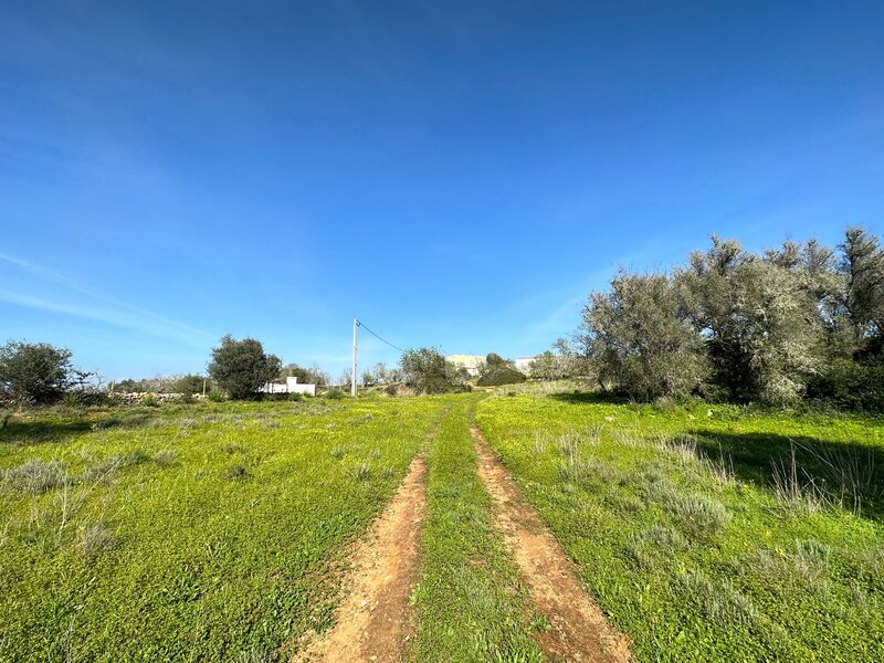 Land Agricultural with 24760sqm Alcantarilha Silves - water, electricity