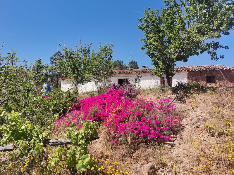 Farm with house 2 bedrooms Foz do Besteiro Marmelete Monchique - water, fruit trees, electricity