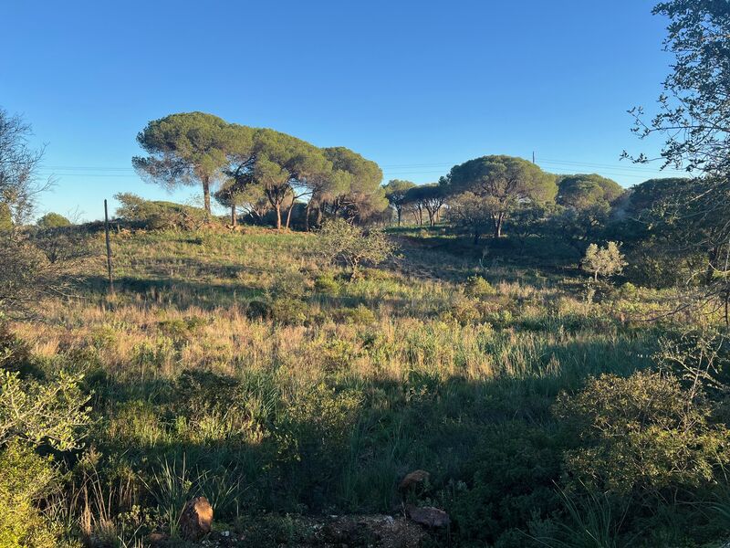 Terreno Rústico com 5240m2 Vale de Pegas Paderne Albufeira - electricidade