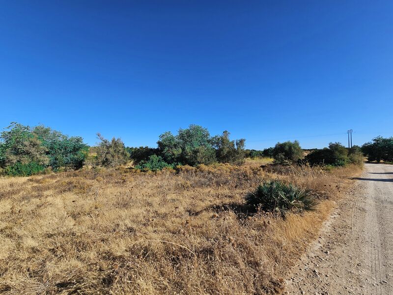 Terreno Rústico com 3650m2 Silves - electricidade