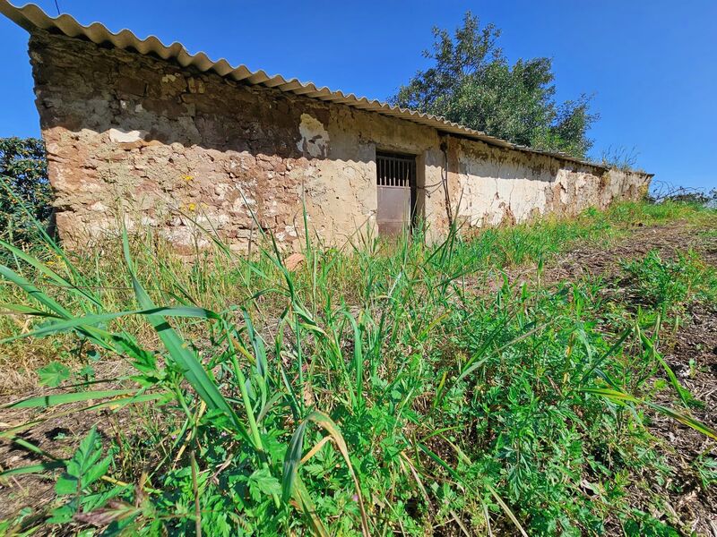 Home V2 in ruins Canhestros Silves