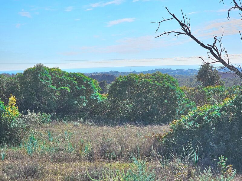 Land Rustic with 2060sqm Escarpão Paderne Albufeira