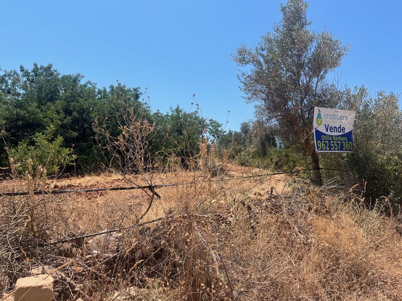 Terreno Rústico com 3920m2 Barranco Longo Silves - electricidade