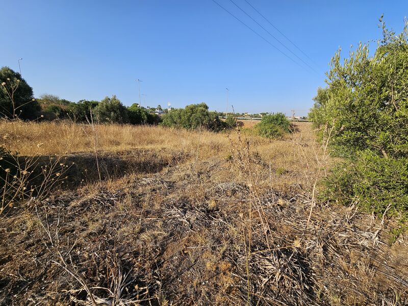 Land with 2228sqm Silves