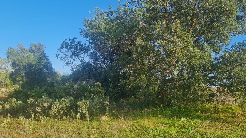 Land with 10878sqm Silves