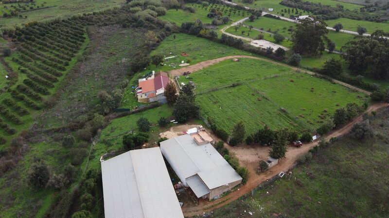 Terreno Rústico com 10000m2 Centro Odiáxere Lagos - luz, água