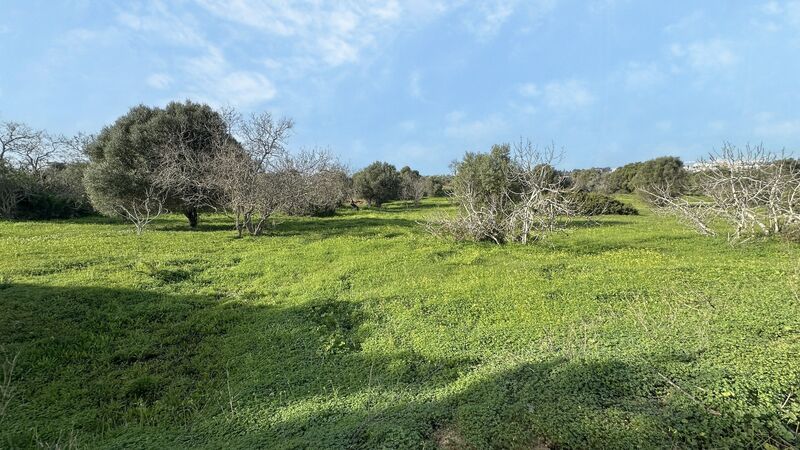 Land with 7833sqm Vale de França Portimão - ,