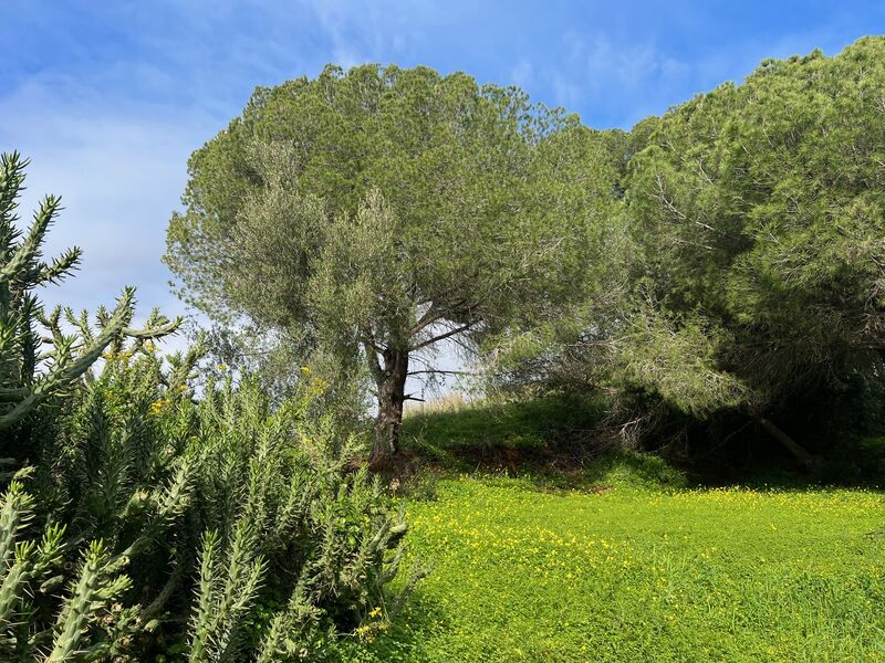 Plot with 1625sqm Guia Albufeira