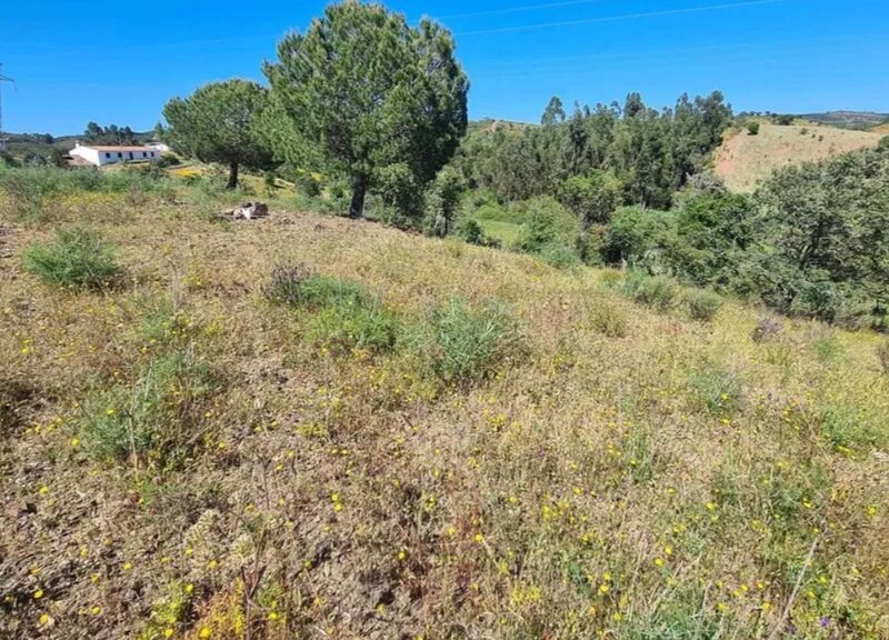 Land Rustic with 900sqm São Bartolomeu de Messines Silves - electricity, nice location, water