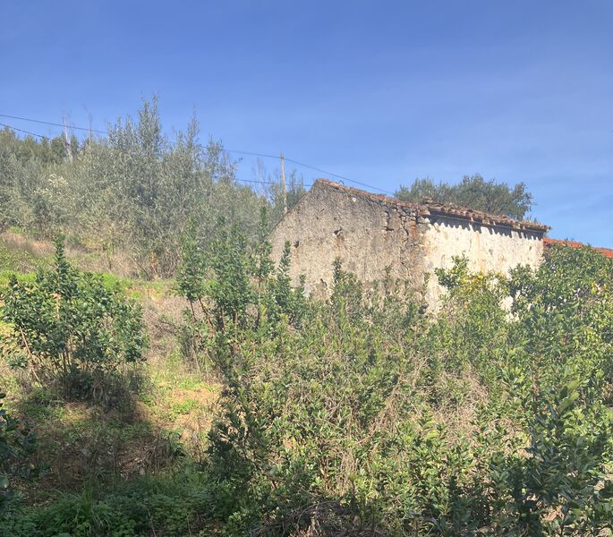 усадьба V0 с домом Monchique - оливковые деревья, фруктовые деревья, вода