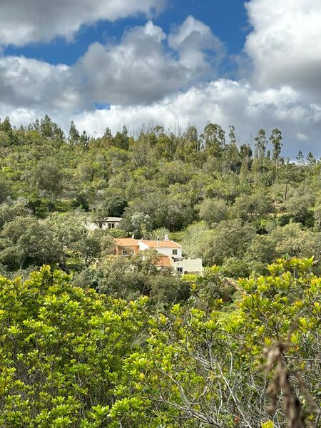 Farm V0 Monchique - solar panels, fruit trees, solar panels, magnificent view, water, well, cork oaks, orange trees, olive trees