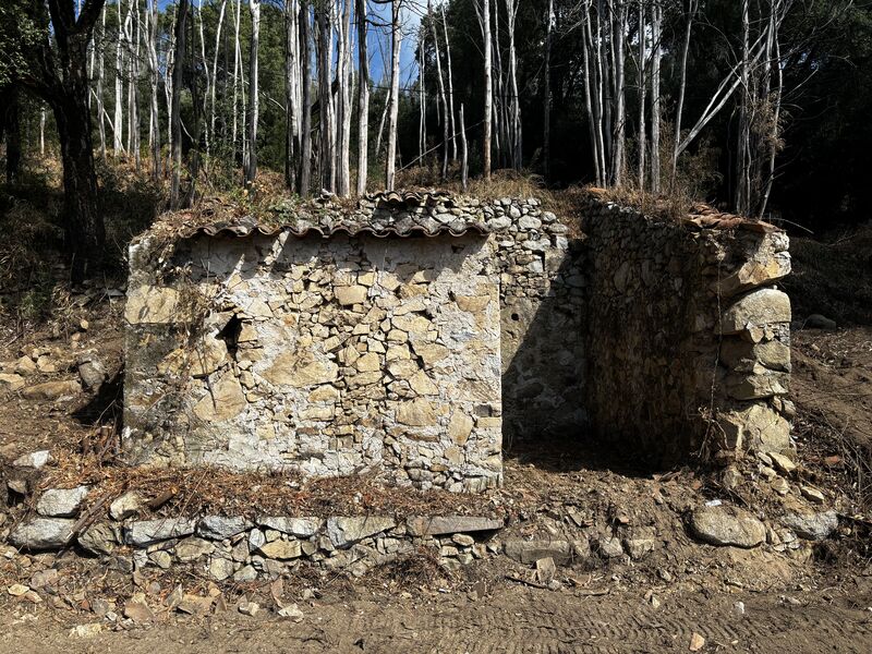 земля агрикультурный c 14000m2 Monchique - вода, колодец, отличный подъезд