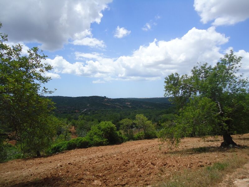 Land Rustic with 2440sqm Monte Novo Paderne Albufeira - water, sea view
