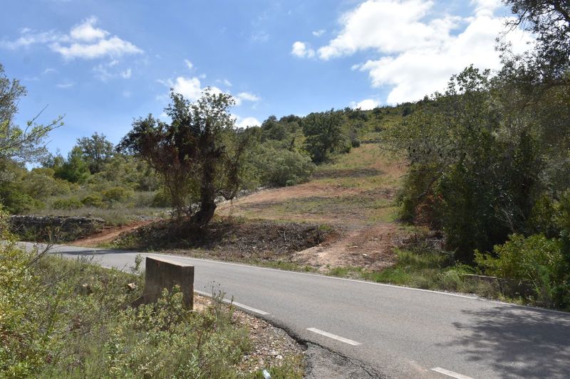 Land Rustic with 2440sqm Cerro Grande Paderne Albufeira - water, easy access, electricity