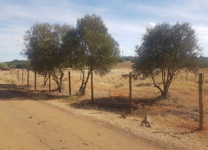 Land Rustic with 1960sqm Benaciate São Bartolomeu de Messines Silves - good access, electricity, water, olive trees, well
