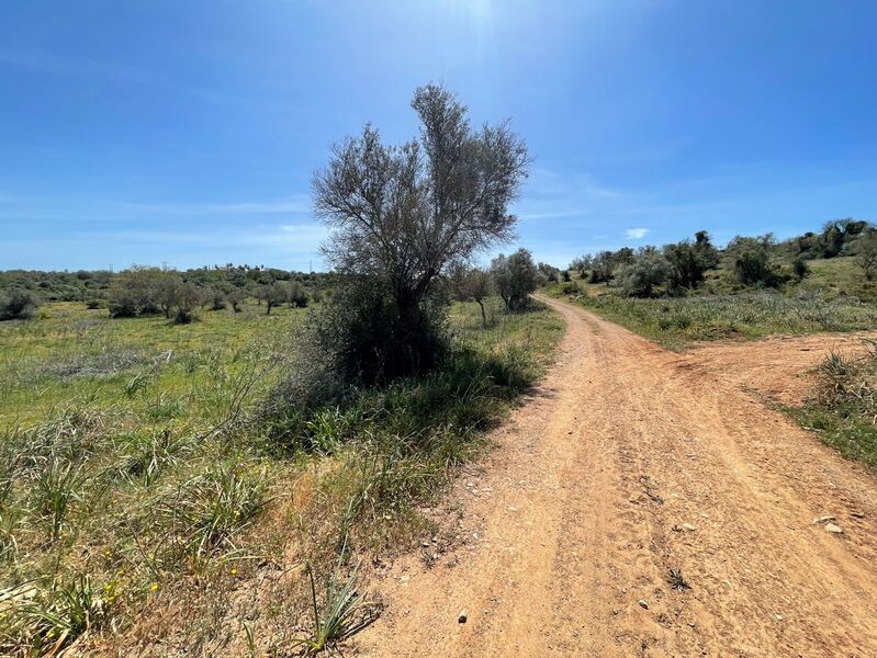 Land with 1996.70sqm Baiãs Silves