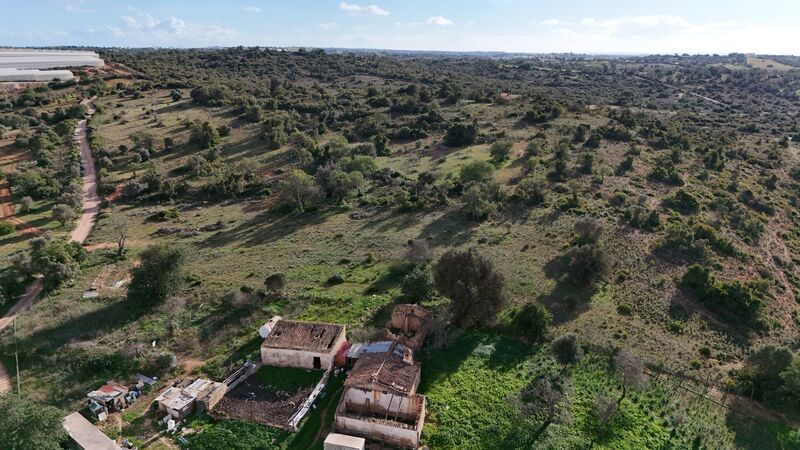 Land with 43440sqm Baiãs Silves