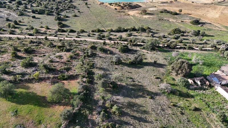 43 440 m²  Land plot with swimming pool in Silves