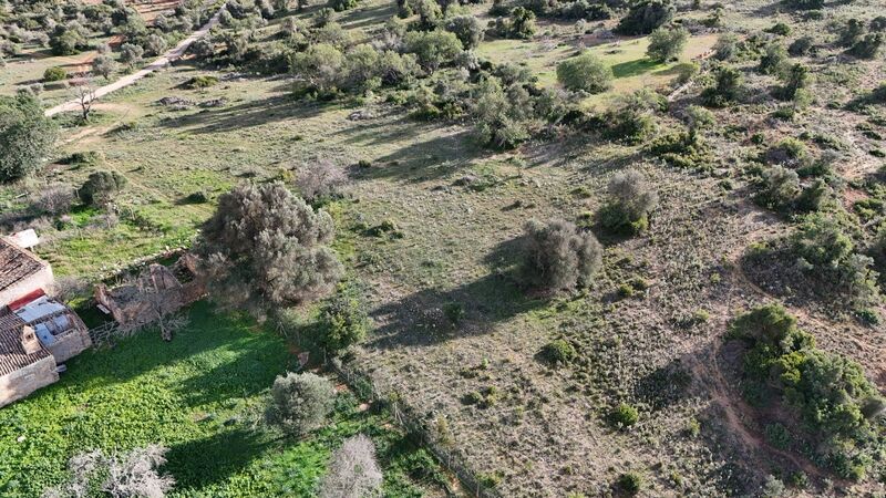 43 440 m²  Land plot with swimming pool in Silves