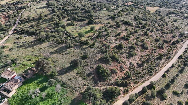 43 440 m²  Land plot with swimming pool in Silves