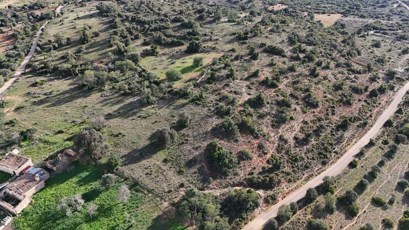 43 440 m²  Land plot with swimming pool in Silves