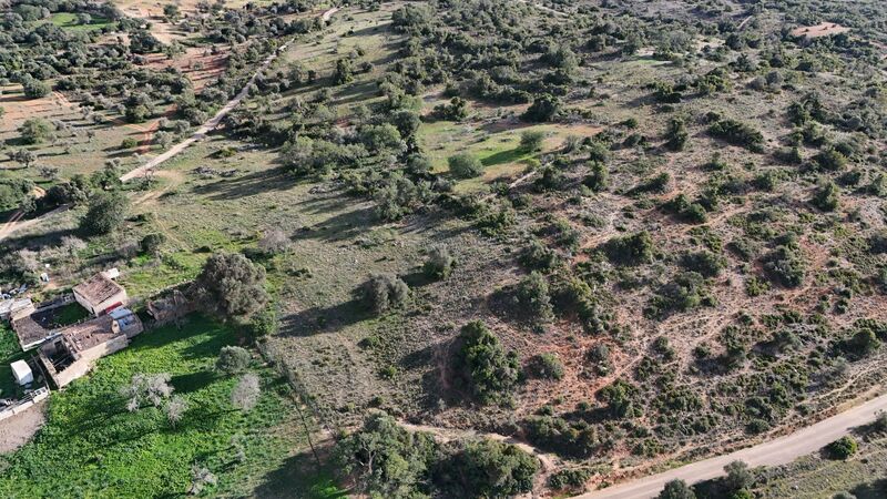 43 440 m²  Land plot with swimming pool in Silves