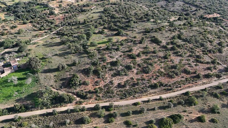 43 440 m²  Land plot with swimming pool in Silves