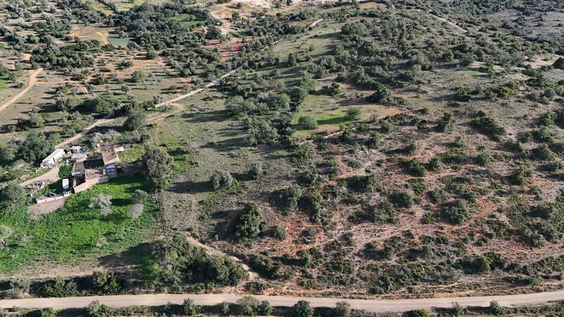 43 440 m²  Land plot with swimming pool in Silves