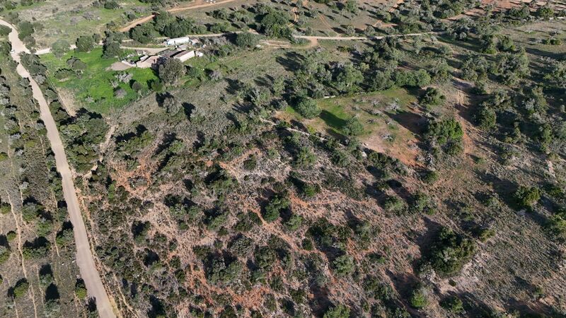 43 440 m²  Land plot with swimming pool in Silves