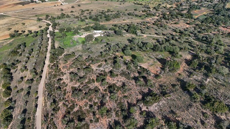 43 440 m²  Land plot with swimming pool in Silves