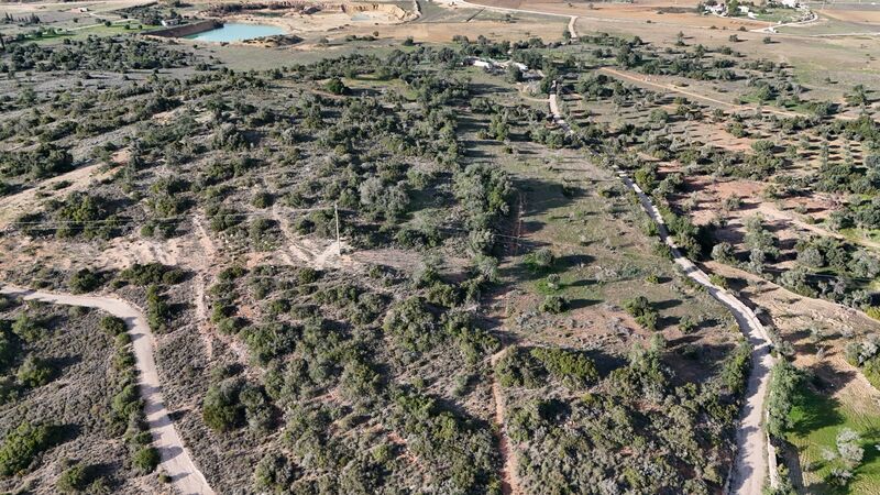 43 440 m²  Land plot with swimming pool in Silves