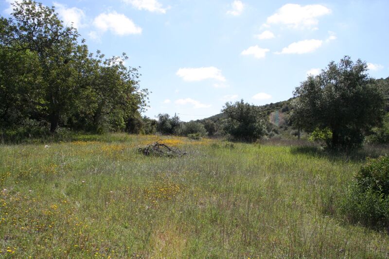 4 000 m²  Land plot in Faro