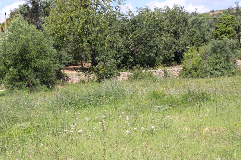 4 000 m²  Land plot in Faro