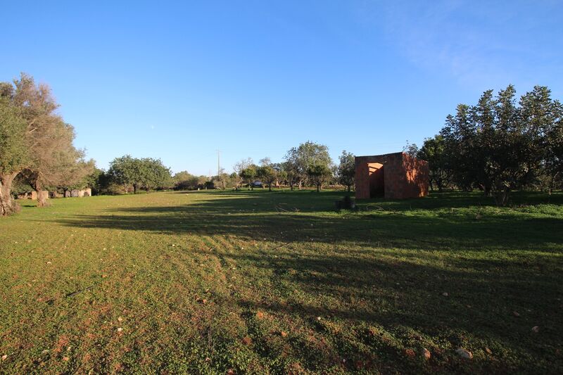 Lote de Terreno com 7 000 m²  em Loulé