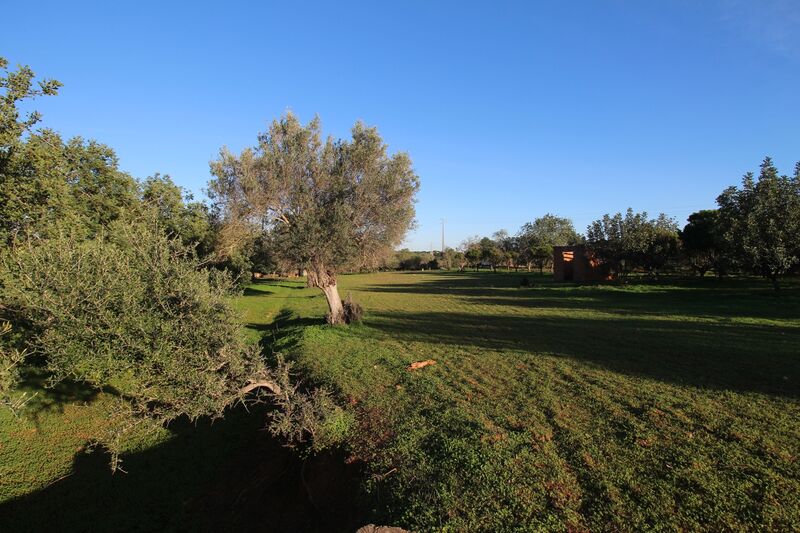 Lote de Terreno com 7 000 m²  em Loulé