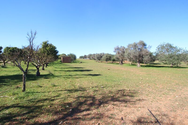 Lote de Terreno com 7 000 m²  em Loulé