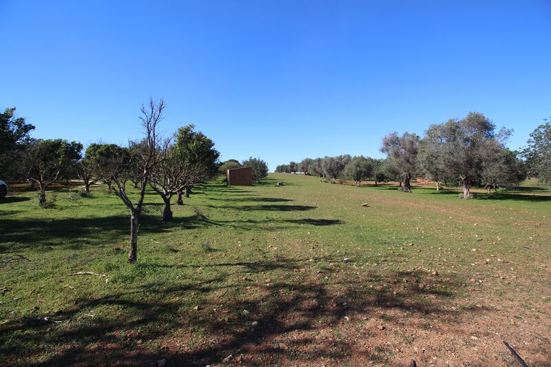 Lote de Terreno com 7 000 m²  em Loulé