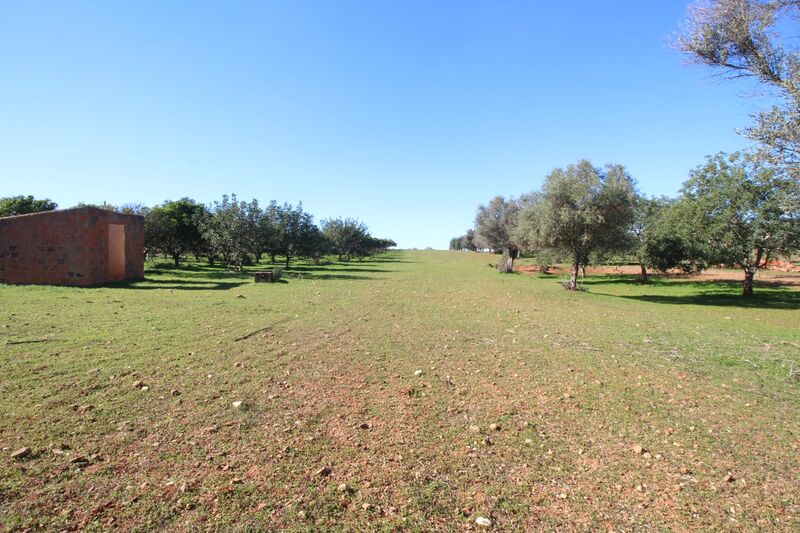 Lote de Terreno com 7 000 m²  em Loulé