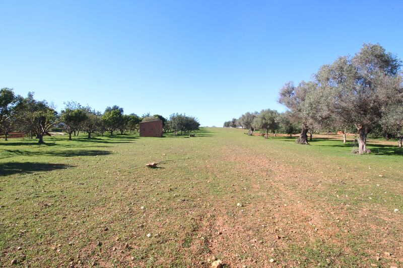 Lote de Terreno com 7 000 m²  em Loulé