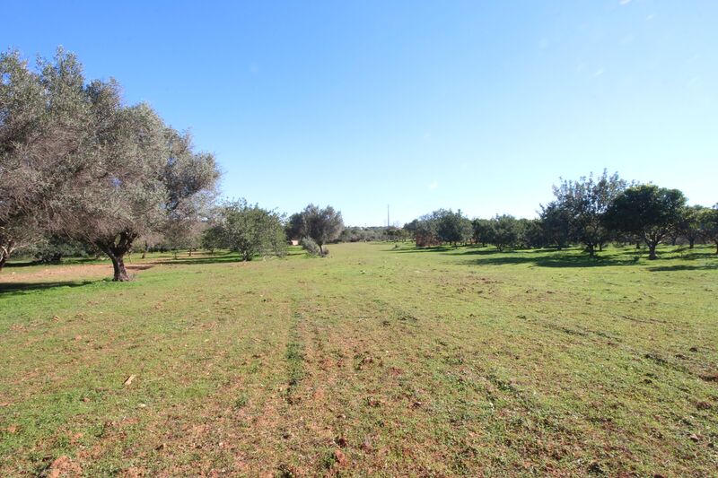 Lote de Terreno com 7 000 m²  em Loulé